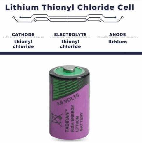 Lithium-Thionyl Chloride D-Cells